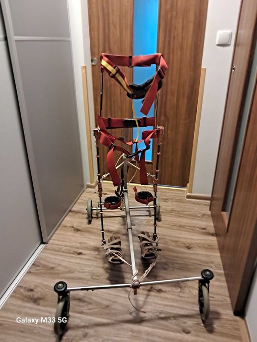 Nf-Walker pionizator dynamiczny