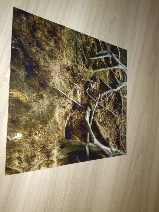 Tapeta do akwarium 28 x 30 cm