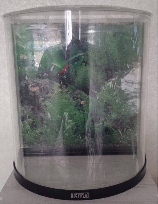 Аквариум Tetra 40 литров