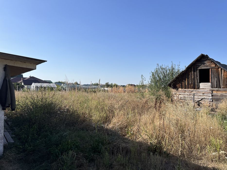 Ділянка біля лісу с. Лебедівка