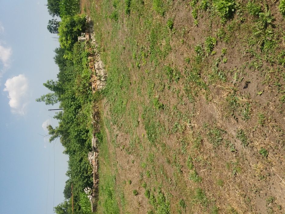 Участок 20 и 40 соток.