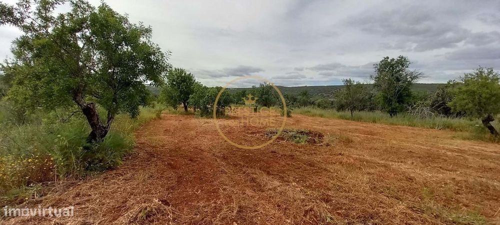 Terreno Rústico com Alfarrobeiras e Amendoeiras - 4860 m² de Natureza