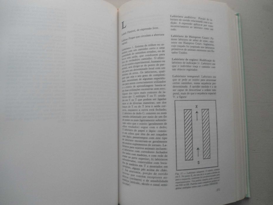 Dicionário de Psicologia por J P Chaplin