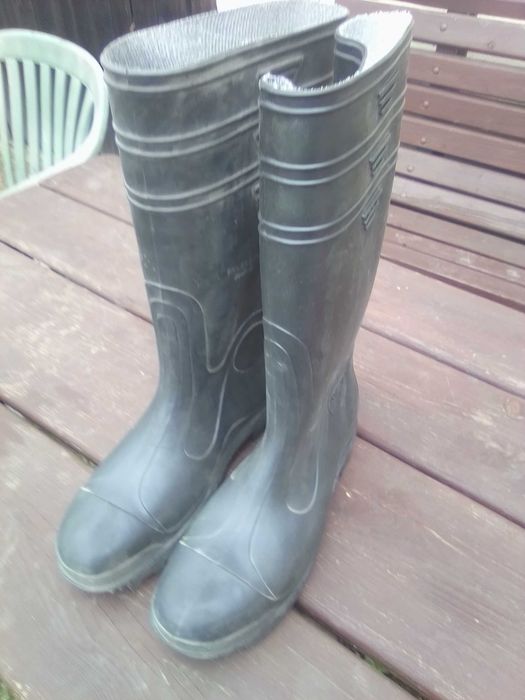 Gumiaki , gumowce męskie