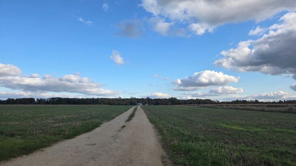 Działka nad Soną - Nowe Miasto