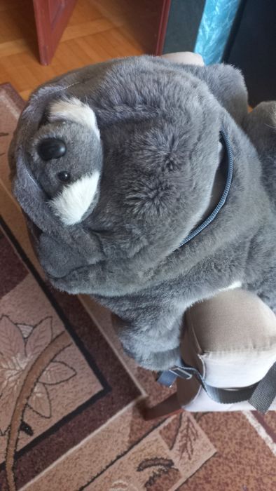 Plecaczek  misiu Koala