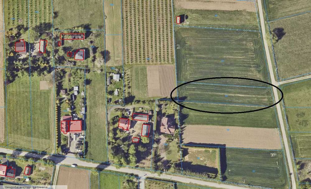 Sprzedam działkę 19,55a w Sandomierzu ul. Lipowa - 2 min/950m od obwodnicy!