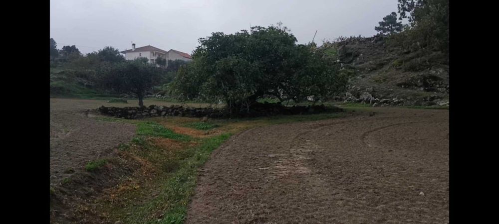 Terreno com 1,6h e viabilidade de construção apoio agricola