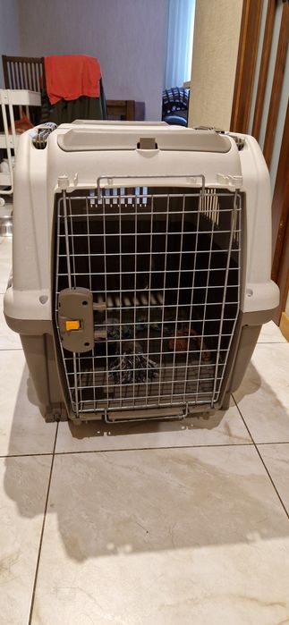 Контейнер-переноска для собак вагою до 35 кг Trixie «Skudo 5» 59 x 65