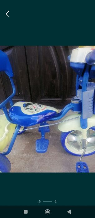 видам без платно дичачий волоспед