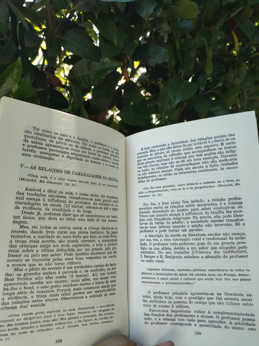 A Escola na Sociedade (Susanne Mollo)