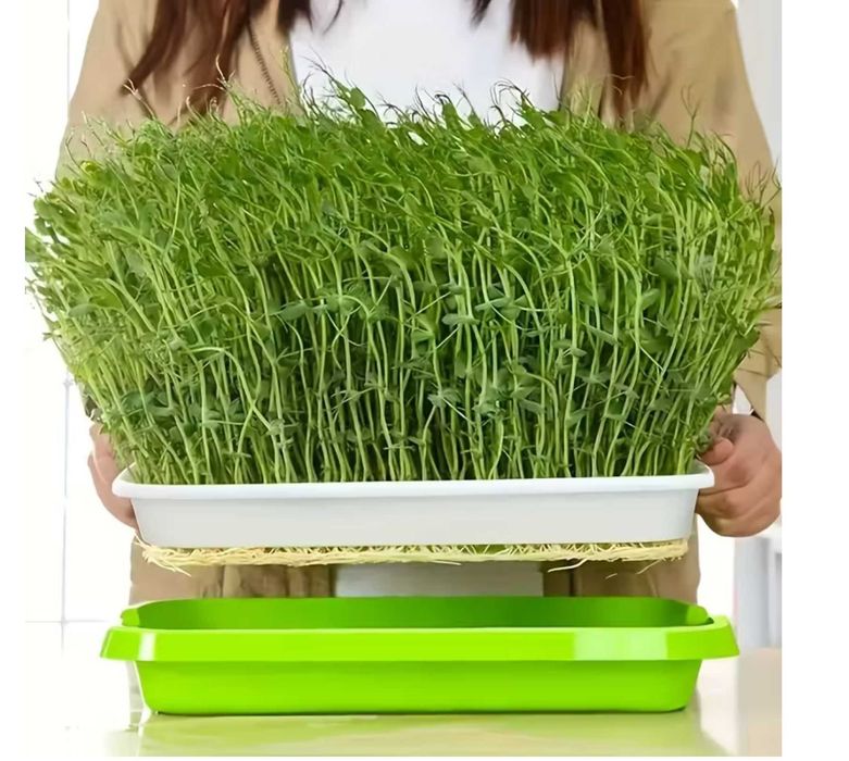 Tacki do hodowli kiełków, trawy dla kotów. (nowe)