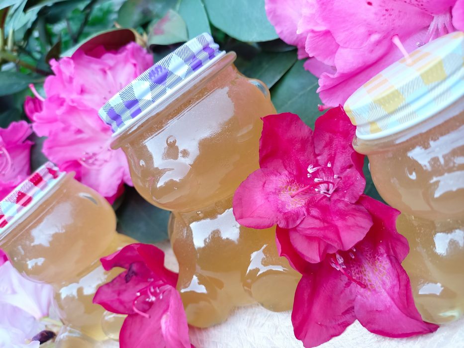 Podziękowania dla gości miód miś Mikołaj 80 150 i 300 ml