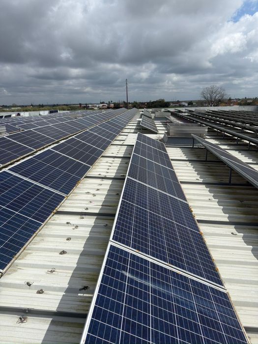 100 Painéis Solares Canadian Solar 290w