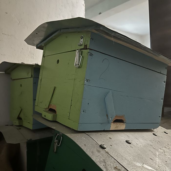 Улій, вулики, улики, вулик, улії для бджіл, пасіка короби