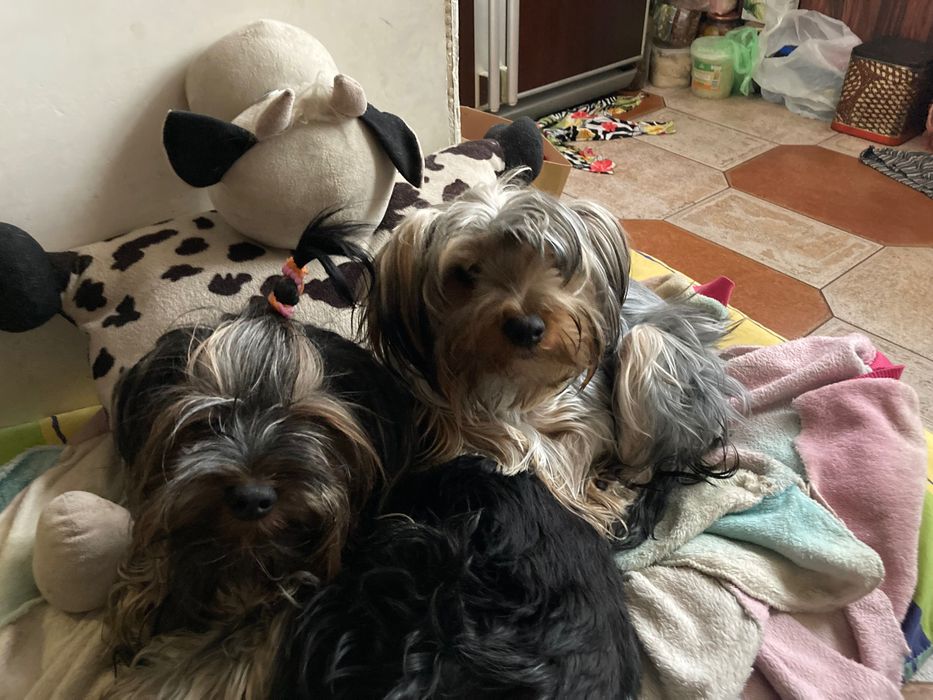 Прекрасные девочки и мальчики