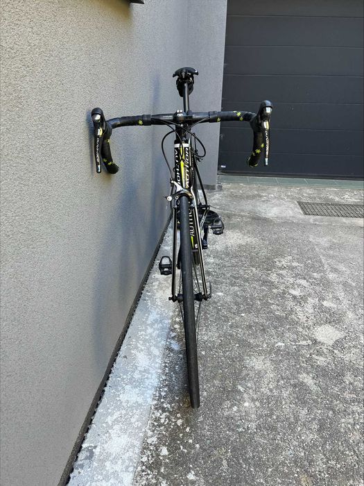 Author Charisma 77, rozmiar 58