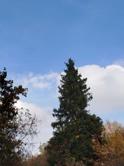 Продажа, аренда свои участки Павлово Поле пр. Науки 65 и уч Р. Лозовой