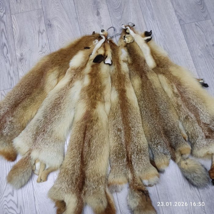 Продам хутро мех