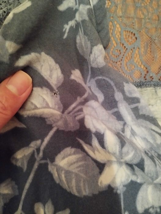 Zestaw ubrań ciążowych H&M mama