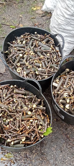 Аренда прокат измельчитель услуги дробилка  веток