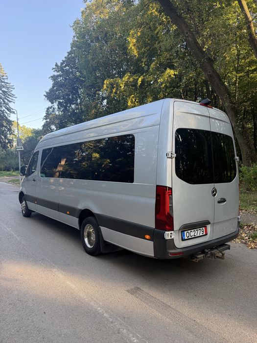 Mercedes Spriner 516 2019