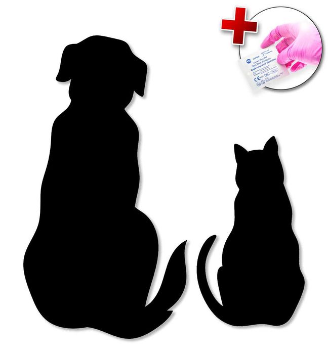 Naklejka na samochód szybę kask PIES I KOT - 10x10cm