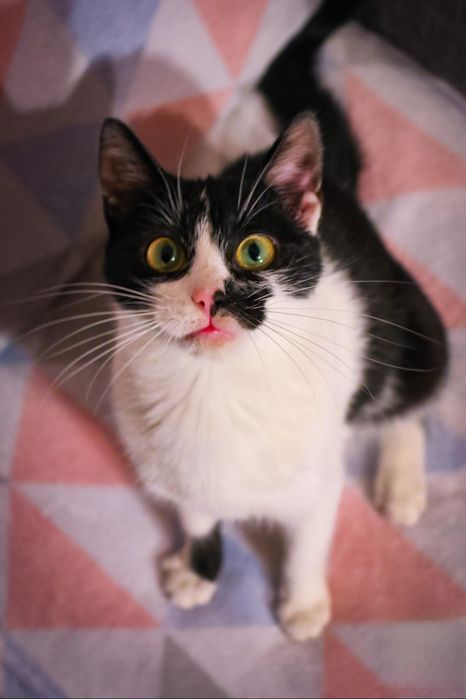 Czy ktoś mnie pokocha?