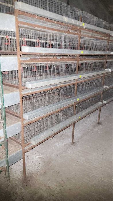 !!! Продається  ферма для ведення птахо-бізнесу