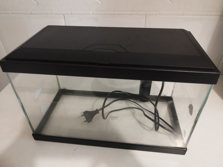 Aquário peixes usado 40 cm