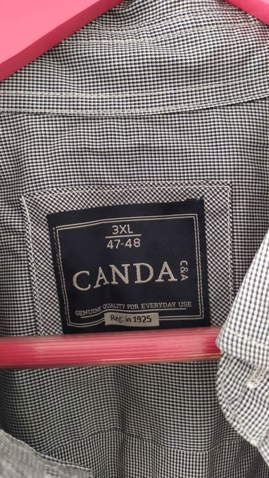 Koszula elegancka Canda w drobną kratkę 3 XL