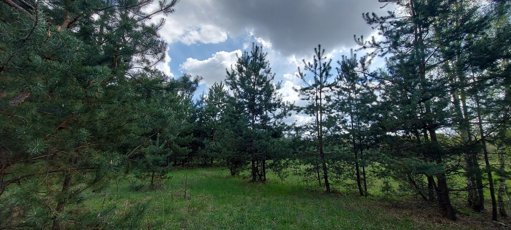 Продам власну садову ділянку