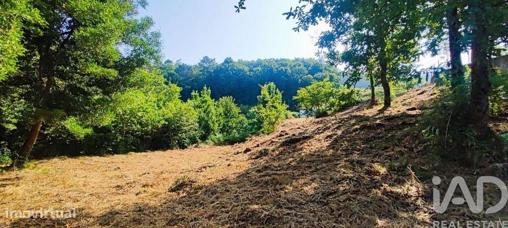 Terreno em Romarigães