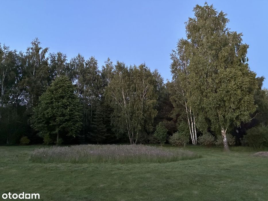 Bezpośrednio- wyjątkowa działka budowlana, zieleń, cisza, natura - Widok 6