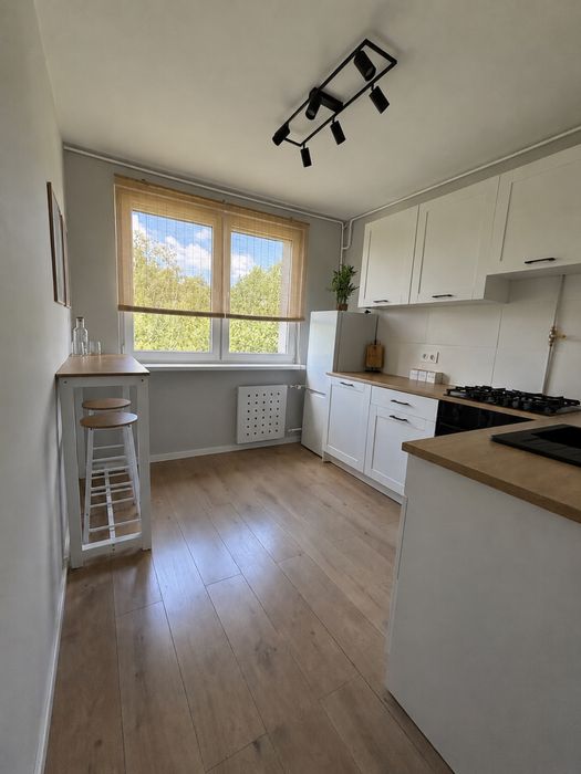 2 pokoje po generalnym remoncie | 48,7 m² | ostatnie piętro | widok na zieleń | Zabrze Maciejów - Widok 4