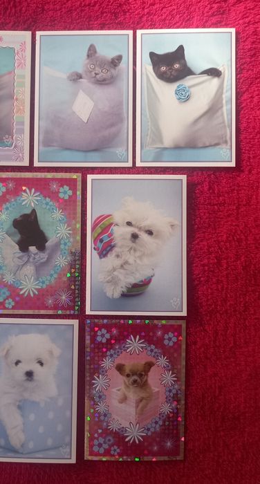 Conjunto de 10 Cromos Perfect Pets