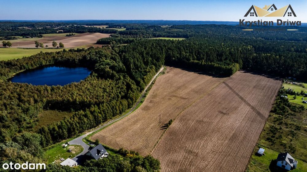 Działki pod siedlisko w gm. Czarna Dąbrówka! - Widok 4
