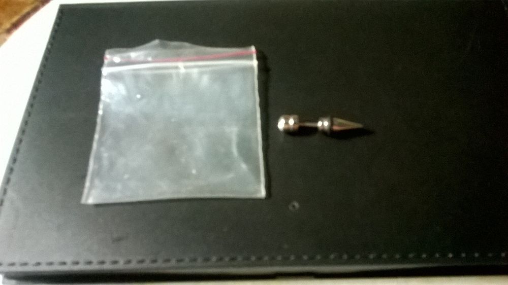 Piercing da Seta