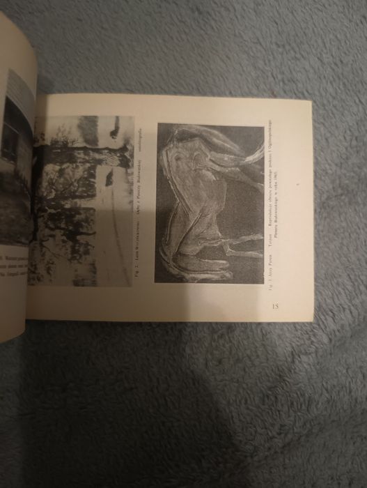 Trzy dni w Puszczy Białowieskiej