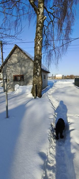 Продам житловий будинок в селі Пекалів