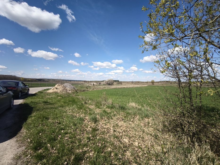 Продаж земельної ділянки в Ольшаниці