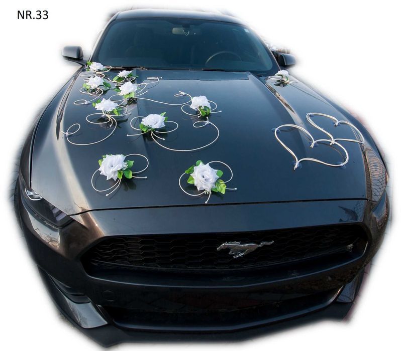 Musisz JĄ MIEĆ Dekoracja na samochód- KOLORY Nr. 033