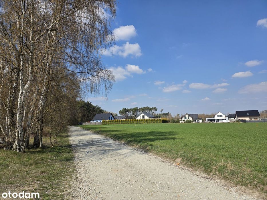 Ostatnie działki z lasem,Kórnik-Konarskie,Borówiec,Kamionki,Mościenica