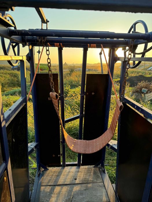 Станок механічий для розчистки ратиць ВРХ