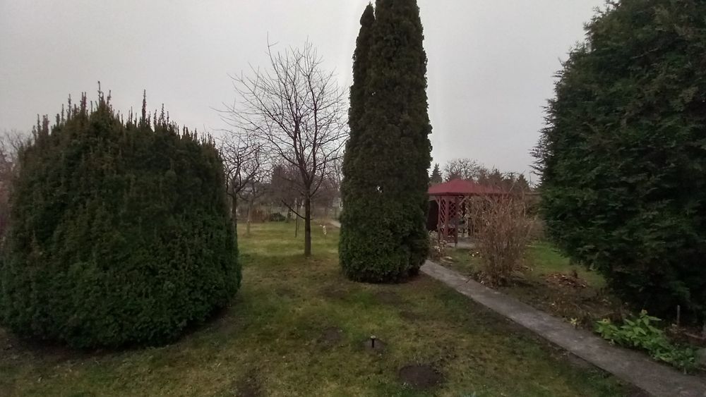 Działka ROD na sprzedaż