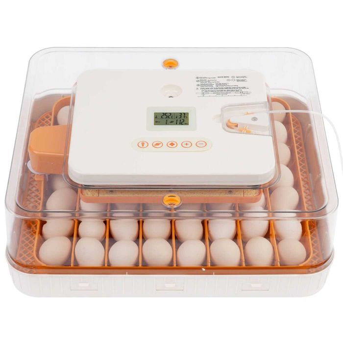 Inkubator do jaj automatyczny z pompą wilgotności,OVOstart 56