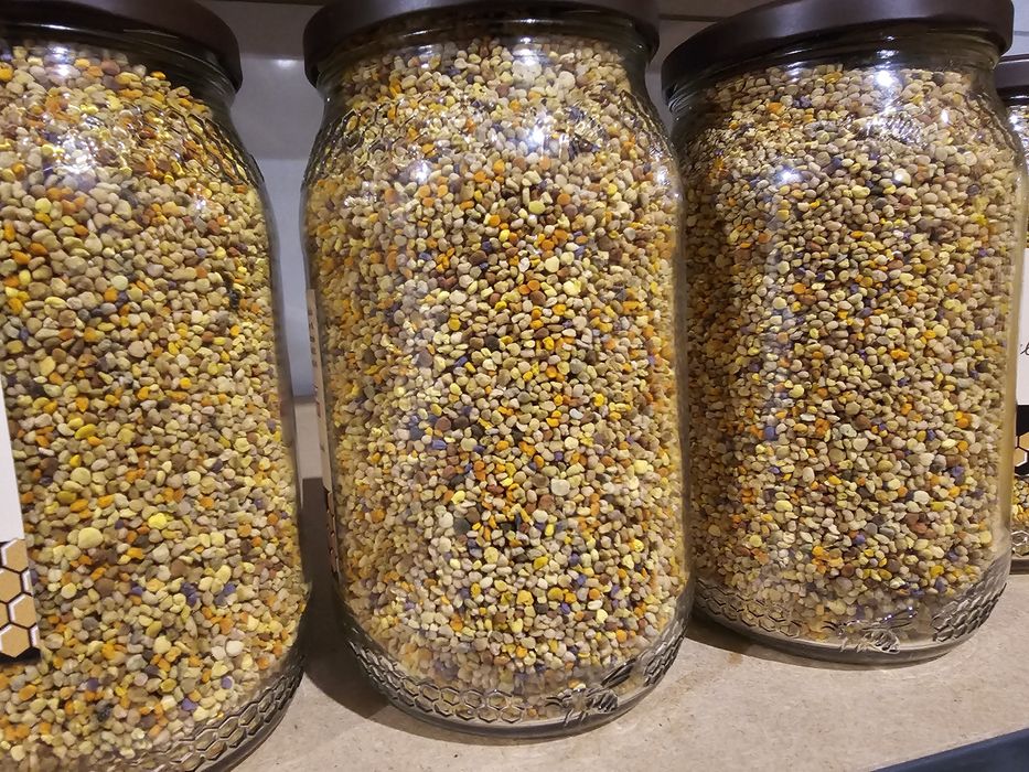 Pylek pszczeli kwiatowy sloiki 600g z własnej pasieki zapraszam lasów