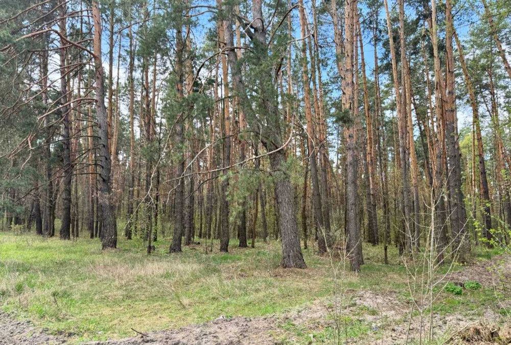 Великий масив землі під Забудову біля Житомирської траси
