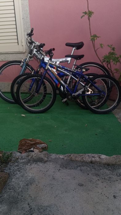 Bicicletas para adultos, adolescentes, crianças