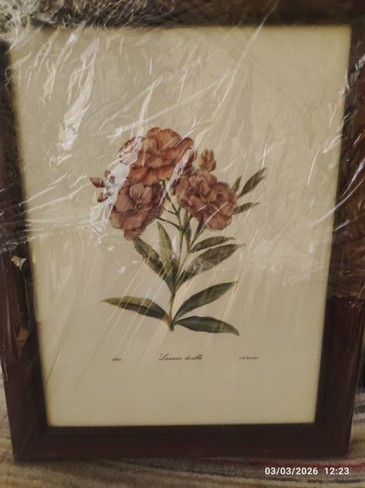 Quadros com molduras